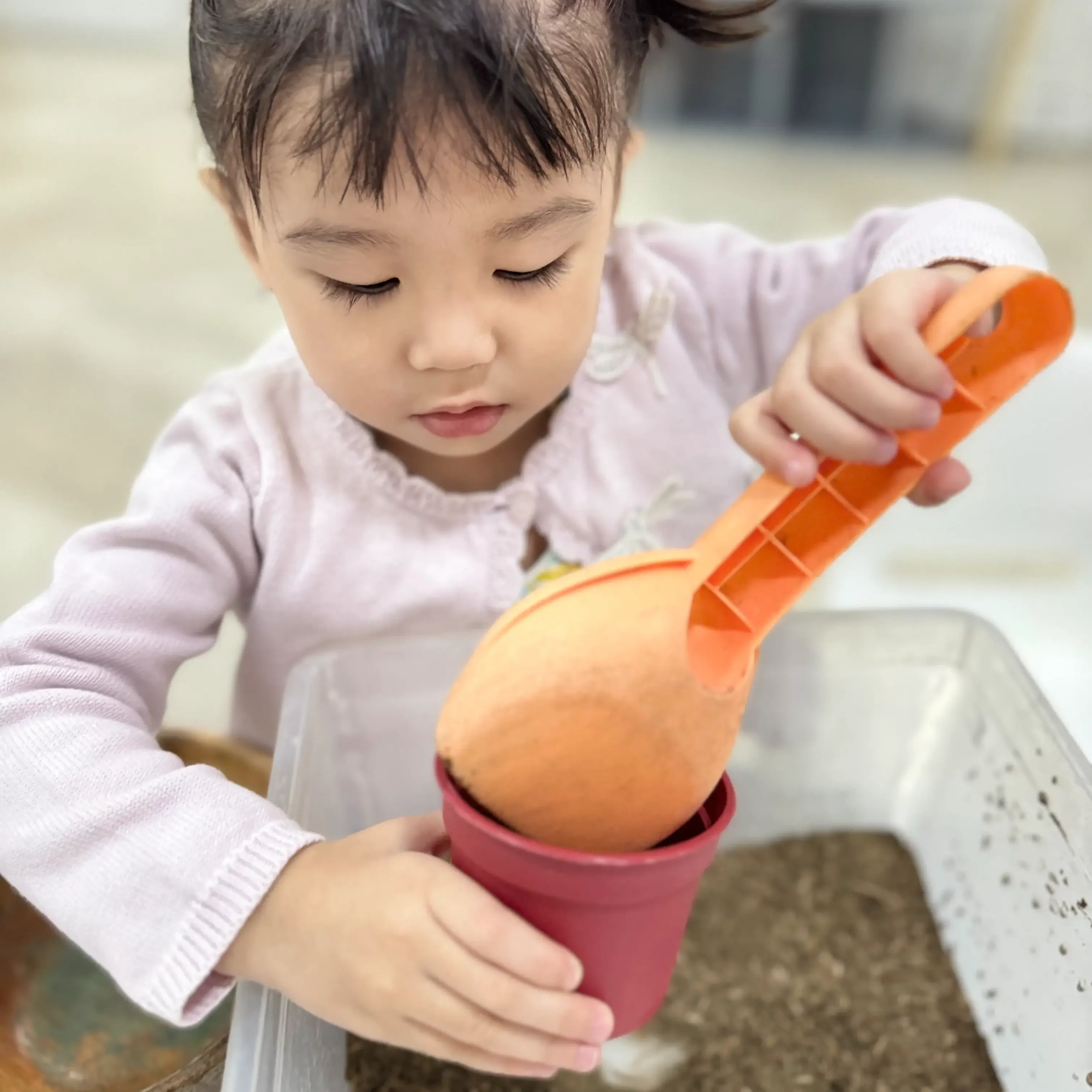 children learning and playing at Trails